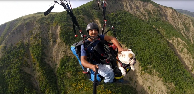 Köpeğiyle yamaç paraşütü yaptı